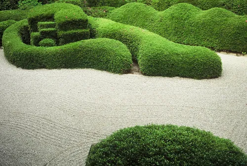 Gepflegte, frisch geschnittene Hecke